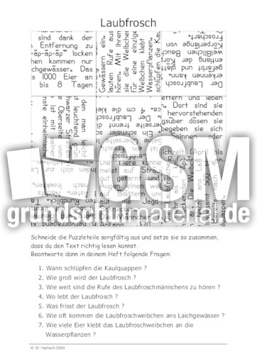 Laubfrosch.pdf
